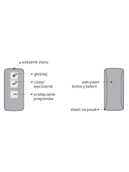 remote_control_opis