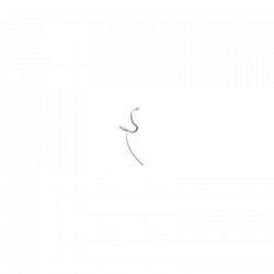 spira-flex-bernafon-13-corda-2-oticon-wizualizacja